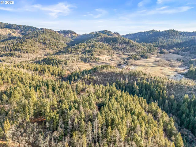 a view of a city with mountains in the background