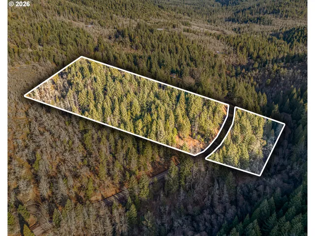 a view of dirt yard with a large tree