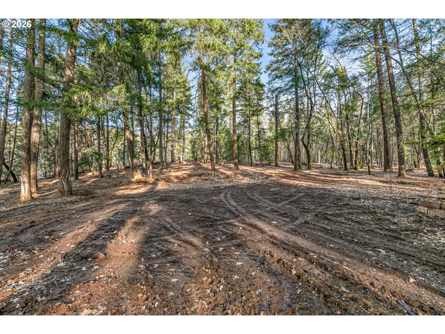 a view of outdoor space with trees