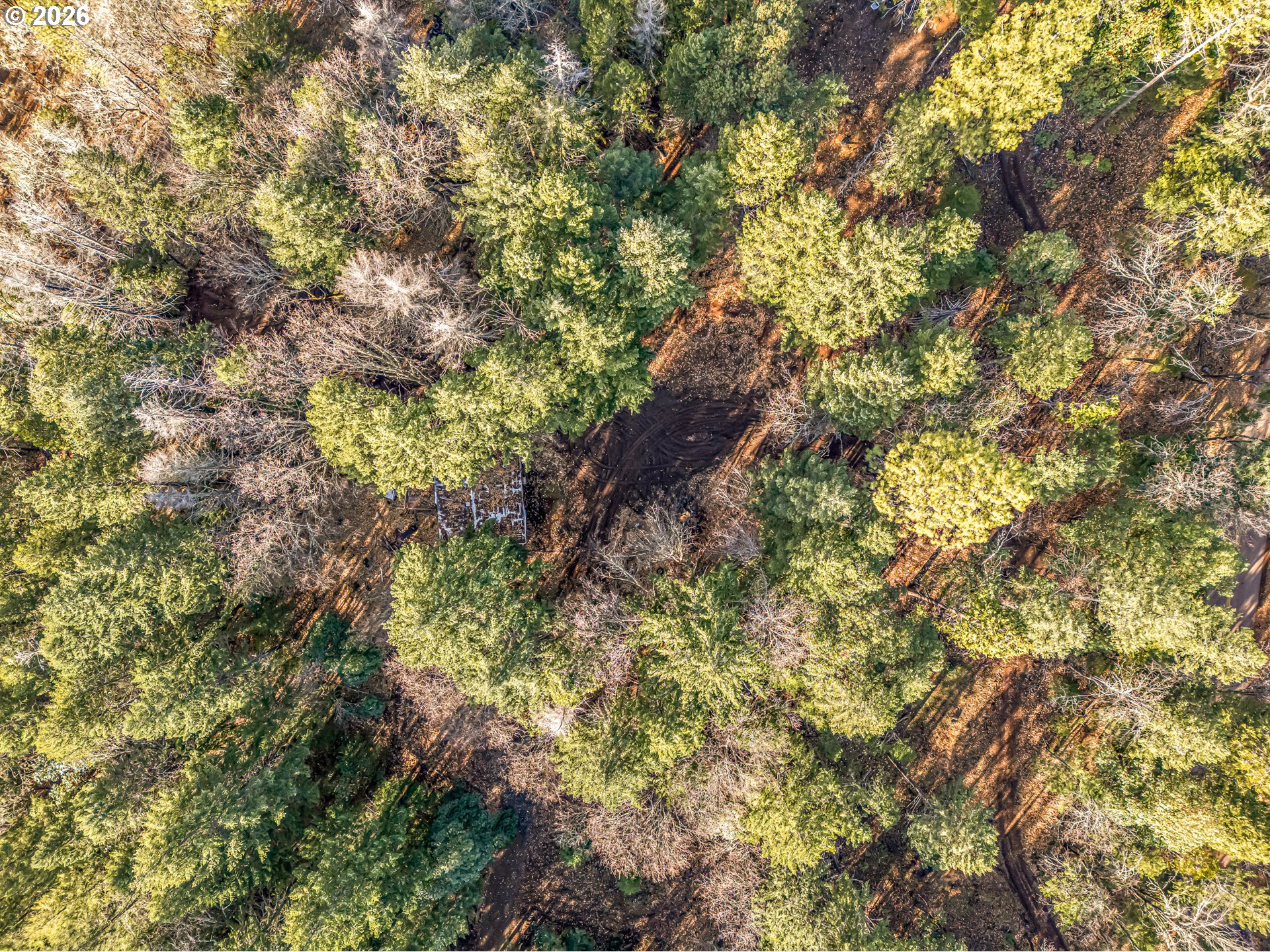 289 Elder Mill Road Trail, OR 97541 - Photo 6 of 18