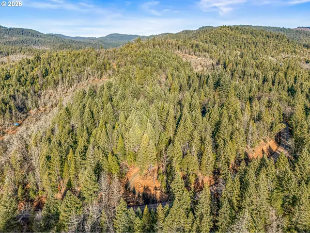 a view of a city with mountains in the background