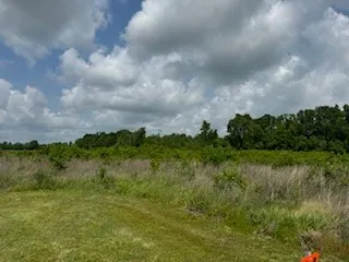 a view of a yard and lake view