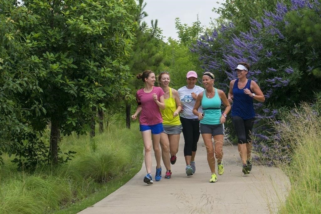4203 Chloe Ridge Lane Fulshear, TX 77441 - Photo 37 of 46