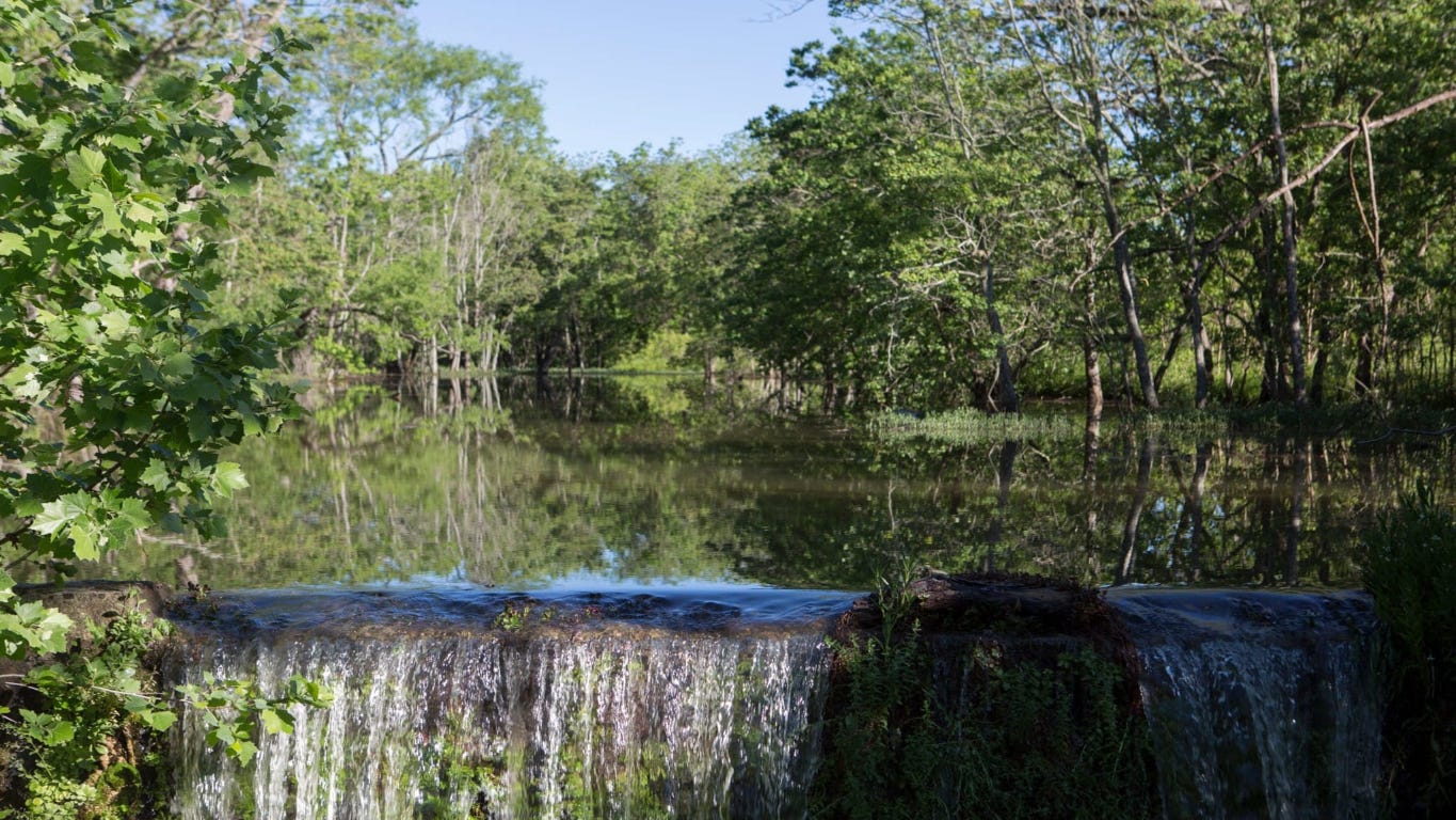 228 Leaning Rock Ridge Austin, TX 78737 - Photo 14 of 14 a view of a yard