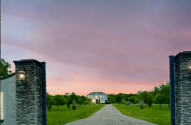 a view of a grassy field with trees in the background