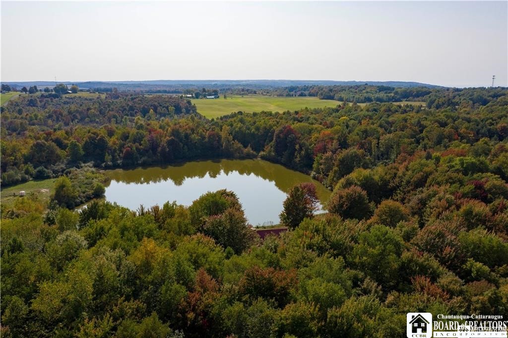 7120 Parker Road Chautauqua, NY 14757 - Photo 23 of 29 OVERHEAD VIEW