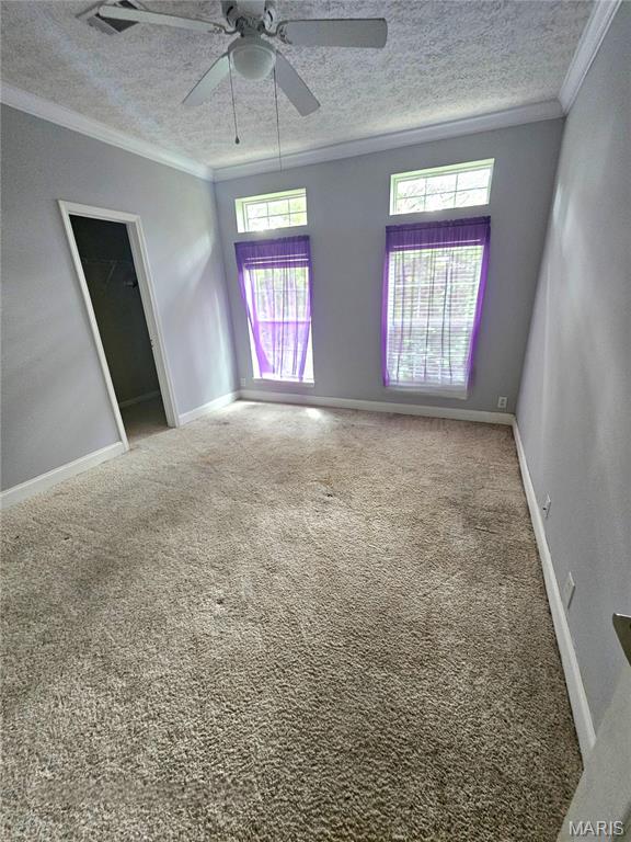 10725 Calvey Hills Road Catawissa, MO 63015 - Photo 15 of 39