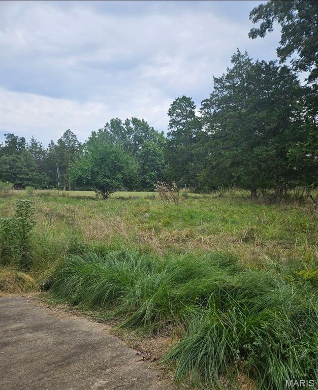 10725 Calvey Hills Road Catawissa, MO 63015 - Photo 38 of 39