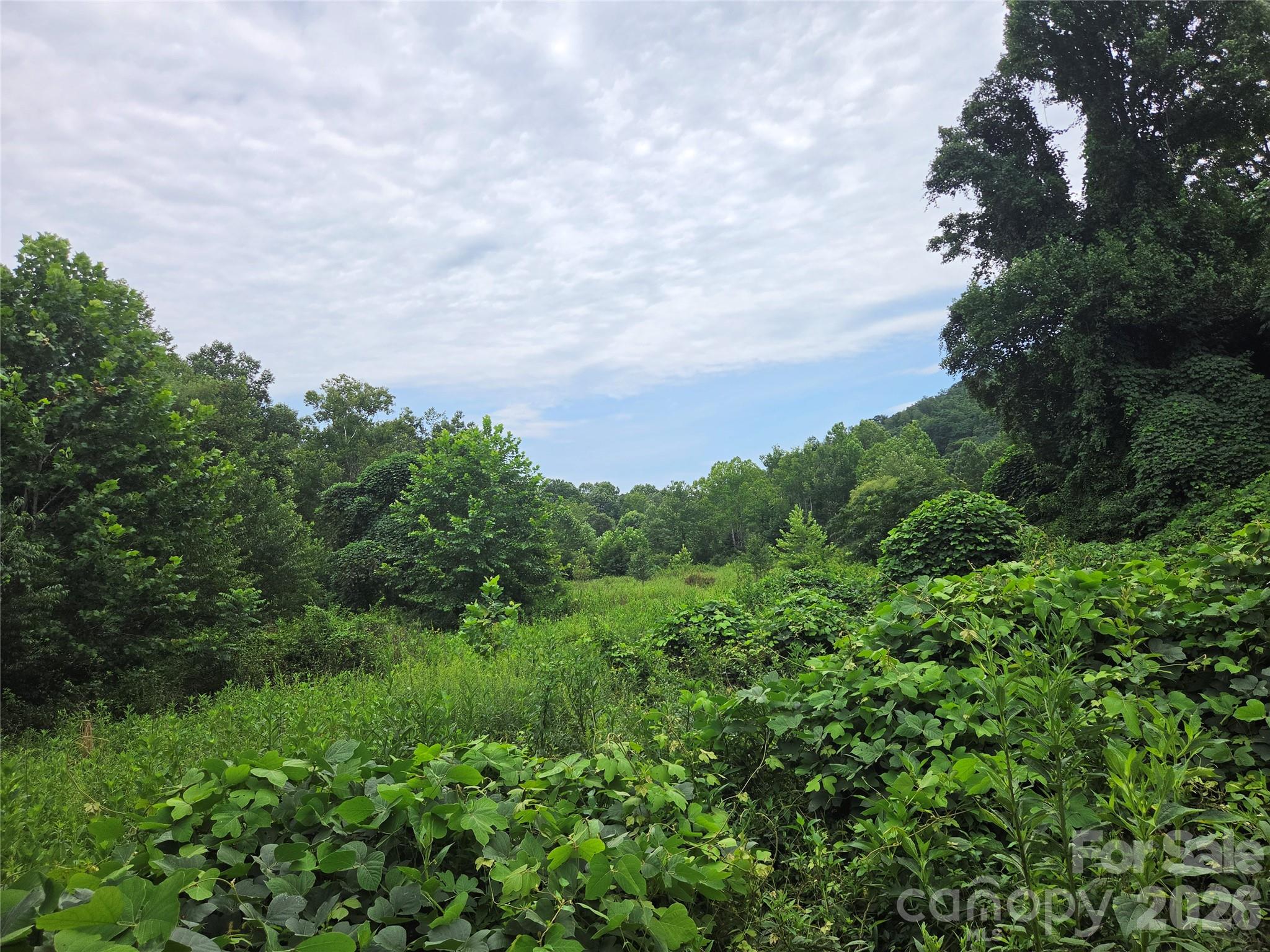 6059 Mt Zion Road Ferguson, NC 28624 - Photo 33 of 37 Gallery Image 33