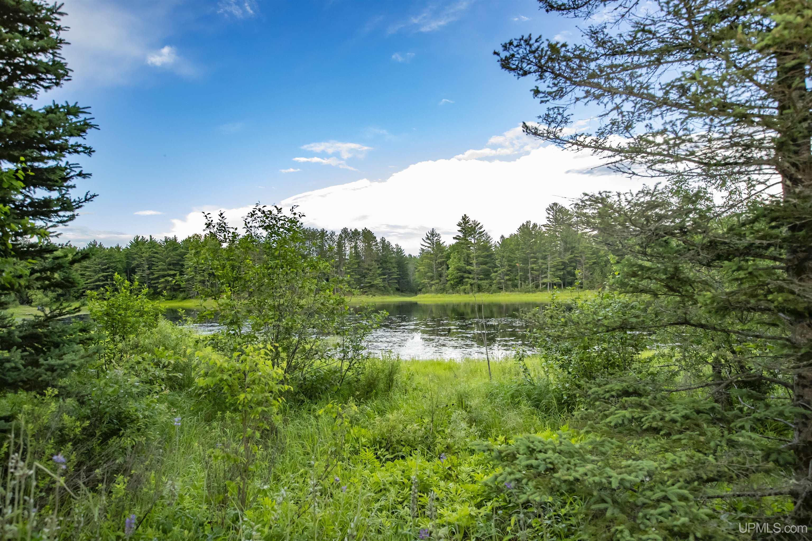 163 Wirtanen Road Crystal Falls, MI 49920 - Photo 7 of 83