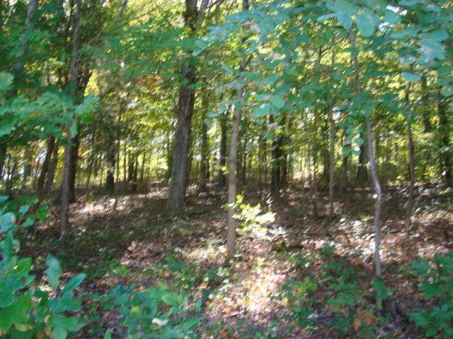 3222 Rozelle Creek Road Chillicothe, OH 45601 - Photo 19 of 21 Gallery Image 19