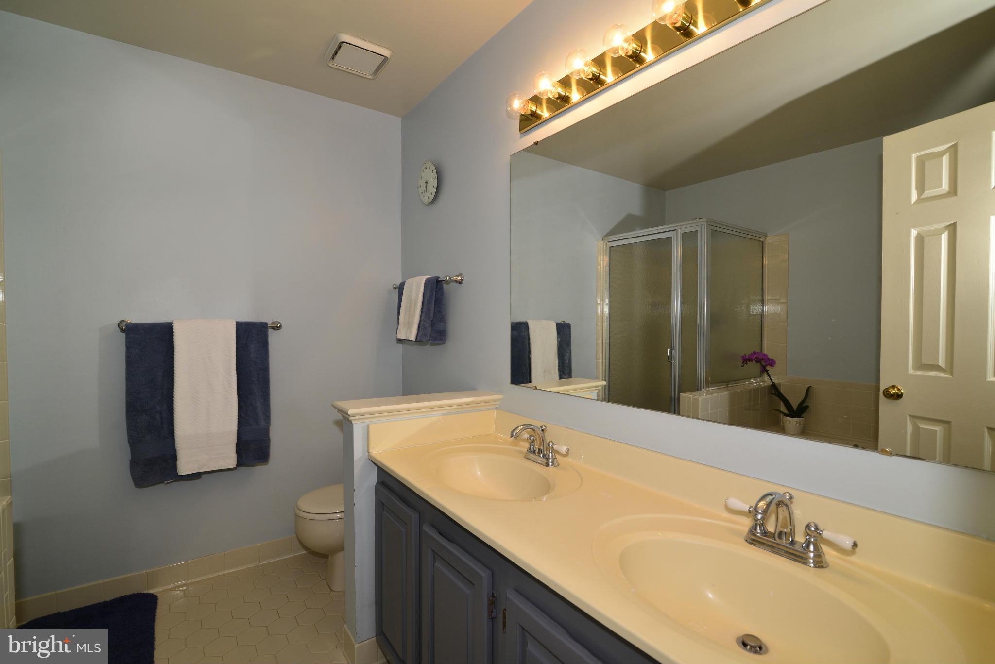 11803 Great Owl Circle Reston, VA 20194 - Photo 19 of 30 Bath (Master)