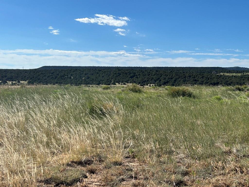 Lot 46 River Ridge Trail La Veta, CO 81055 - Photo 6 of 18