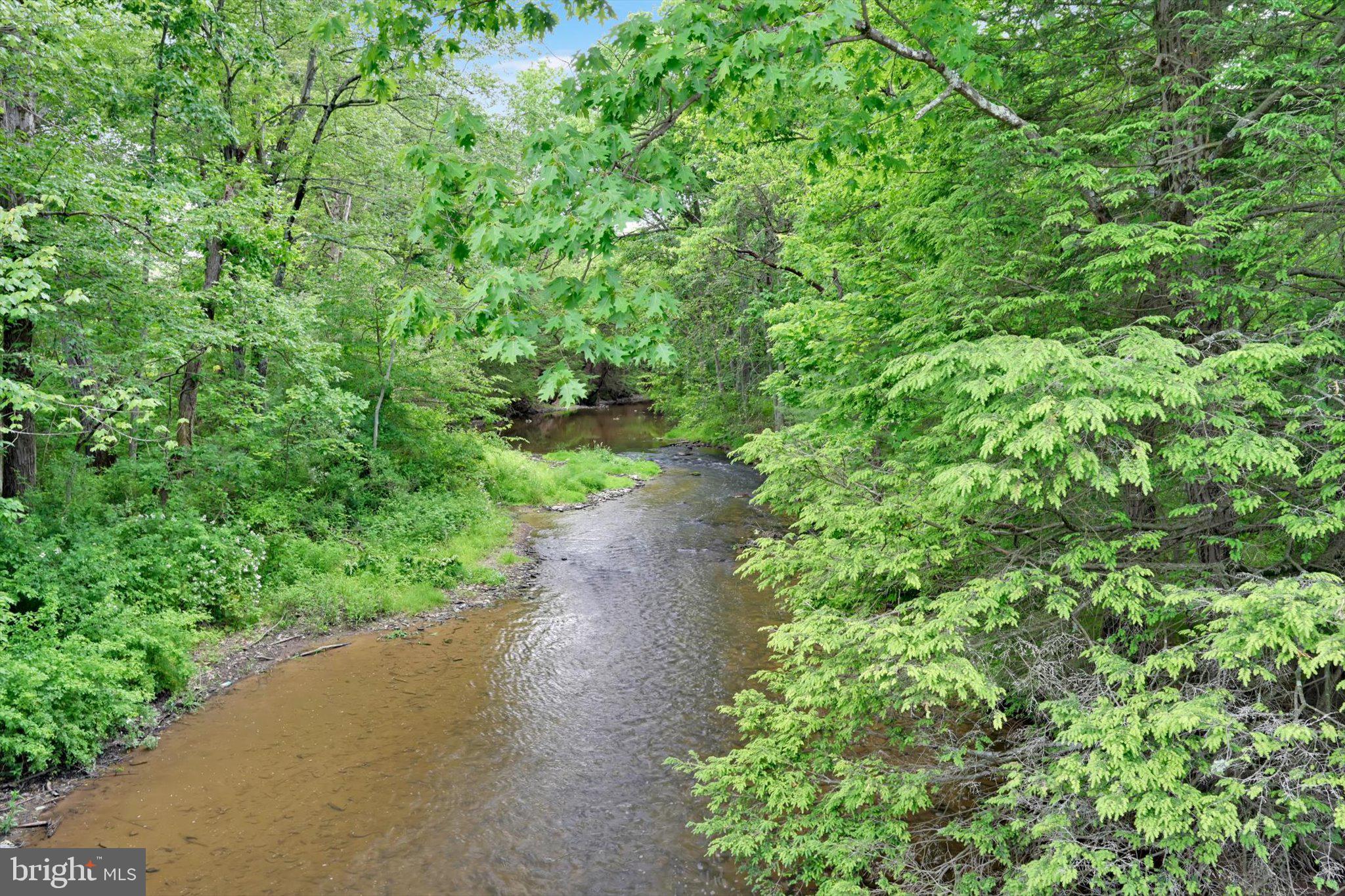 0 Fredericks Grove Road Lehighton, PA 18235 - Photo 2 of 14 Serene Stream Amidst Lush Greenery