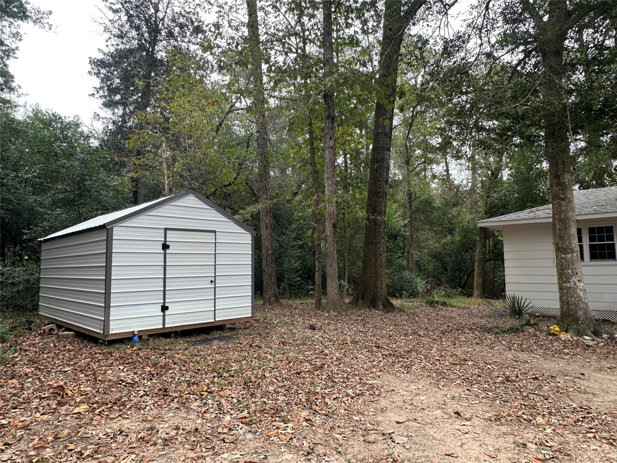 146 Barbara Lane Shepherd, TX 77371 - Photo 18 of 20 a view of backyard and trees