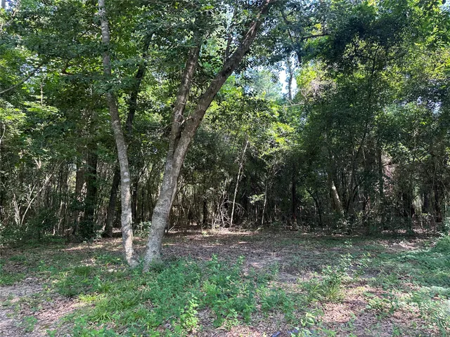 a view of park space