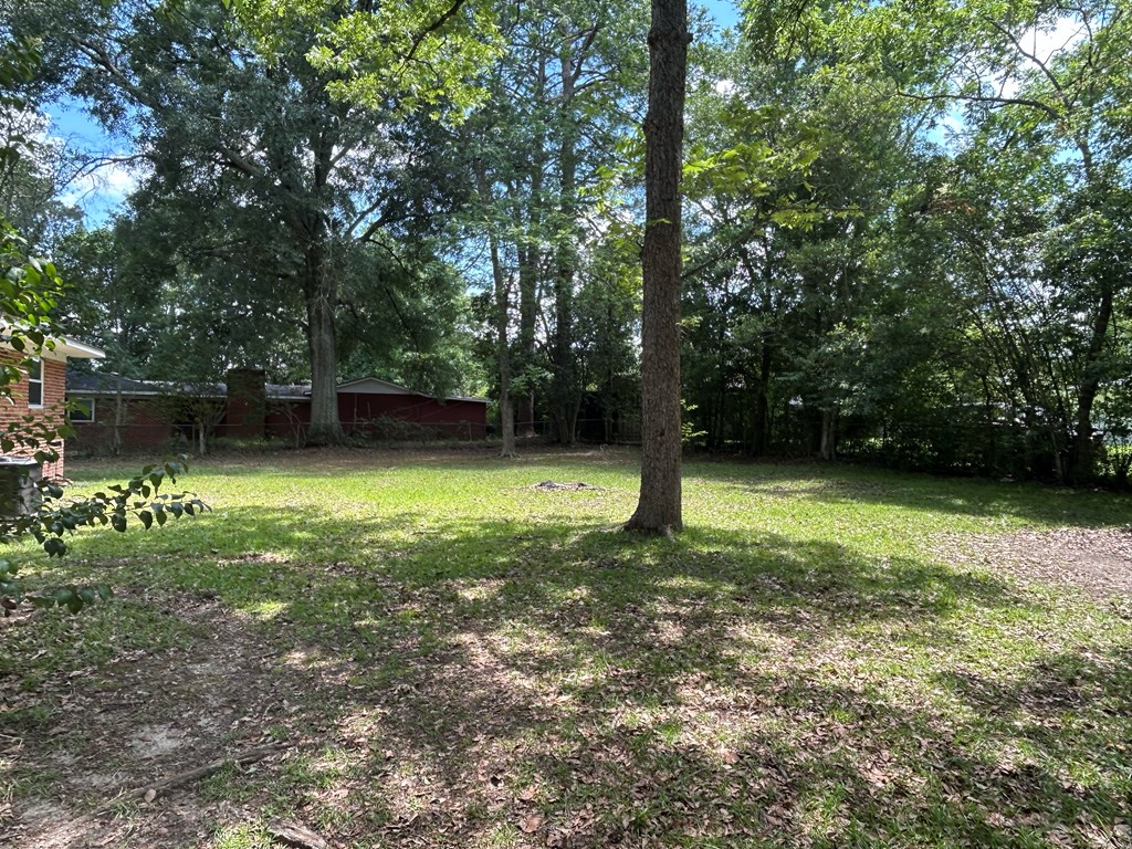 106 Tv Road Dothan, AL 36301 - Photo 32 of 35 Back Yard