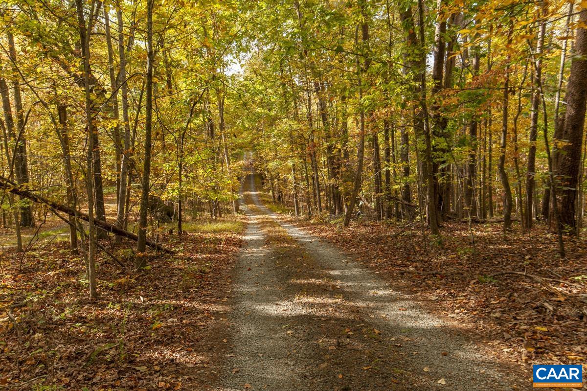 3849 Buck Island Road Charlottesville, VA 22902 - Photo 43 of 50 a view of yard
