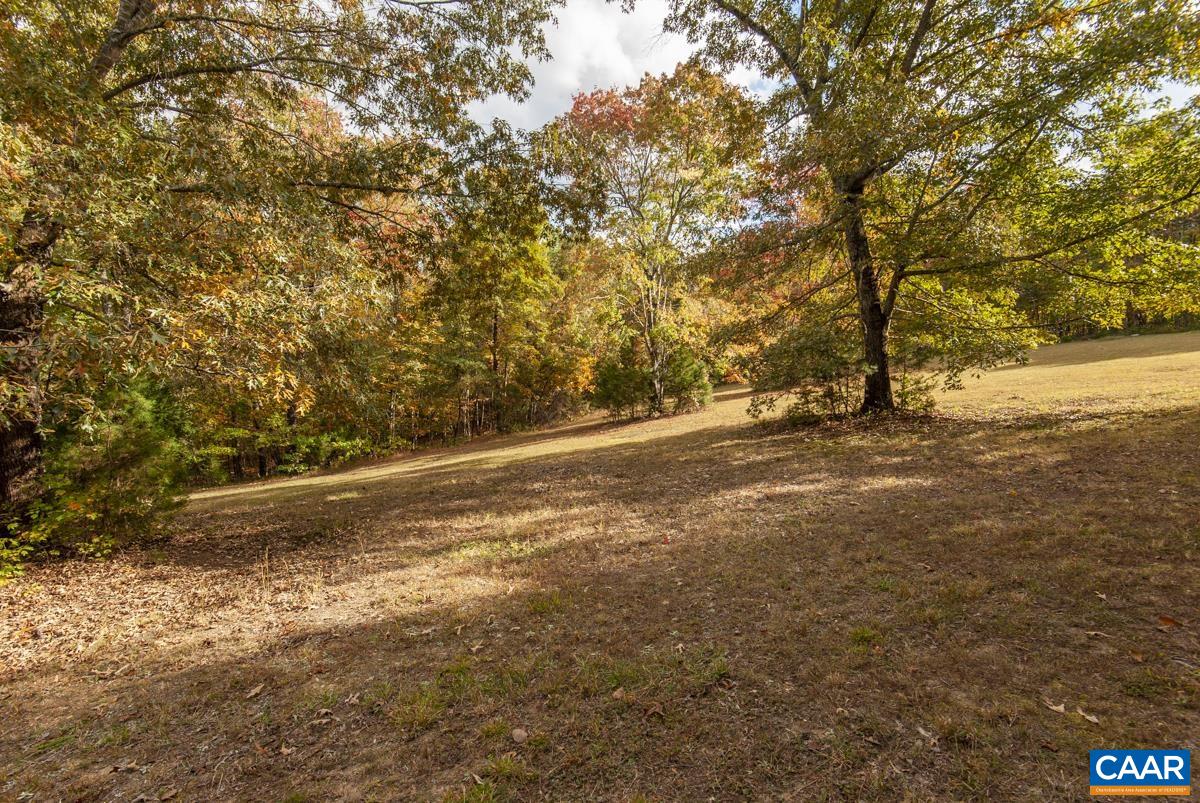 3849 Buck Island Road Charlottesville, VA 22902 - Photo 47 of 50 a view of dirt field with trees in the background
