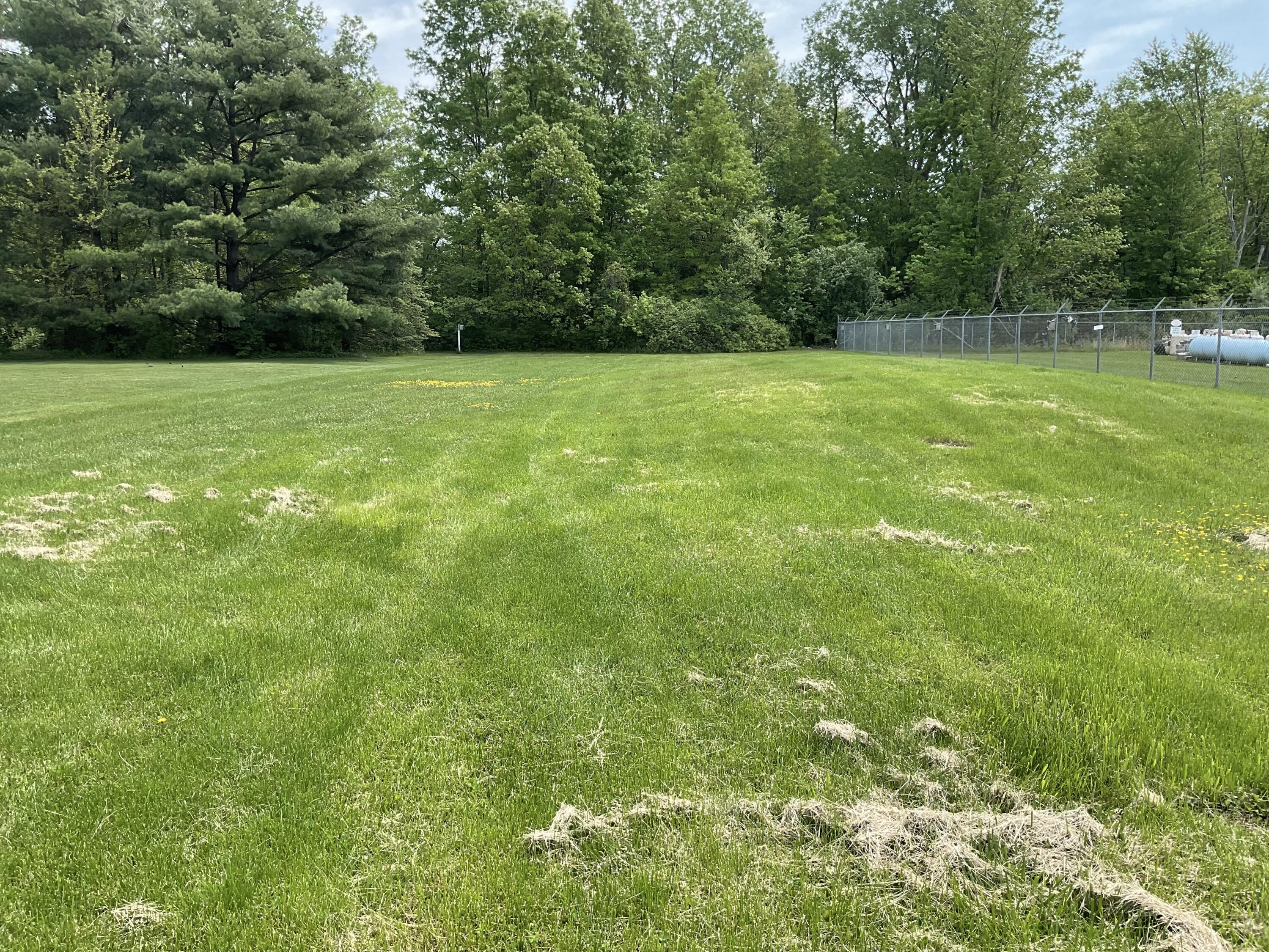 17741 Sumpter Road Belleville, MI 48111 - Photo 5 of 22 AAA9C650-DCBC-433F-9CEA-1294882FBFCE