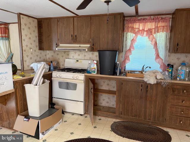 53 Fulton Street Cheswold, DE 19904 - Photo 3 of 17 a kitchen with sink cabinets and window