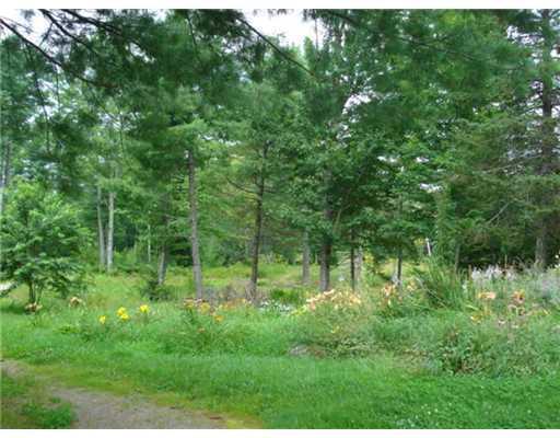 74 Crummett Mountain Road Somerville, ME 04348 - Photo 14 of 14 Yard/Garden.