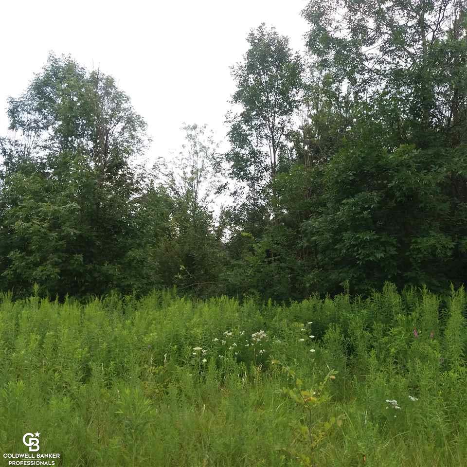 0 Rattle Run Columbus, MI 48063 - Photo 6 of 8