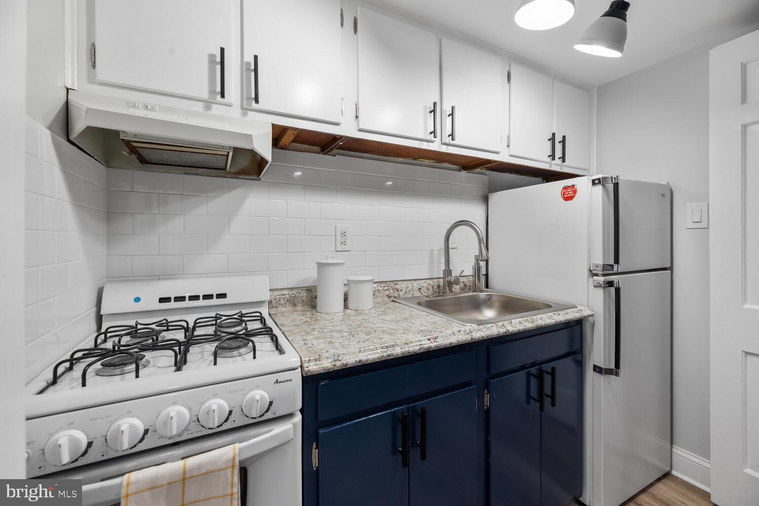 503 10th Street Southeast Washington, DC 20003 - Photo 55 of 67 Lower Unit