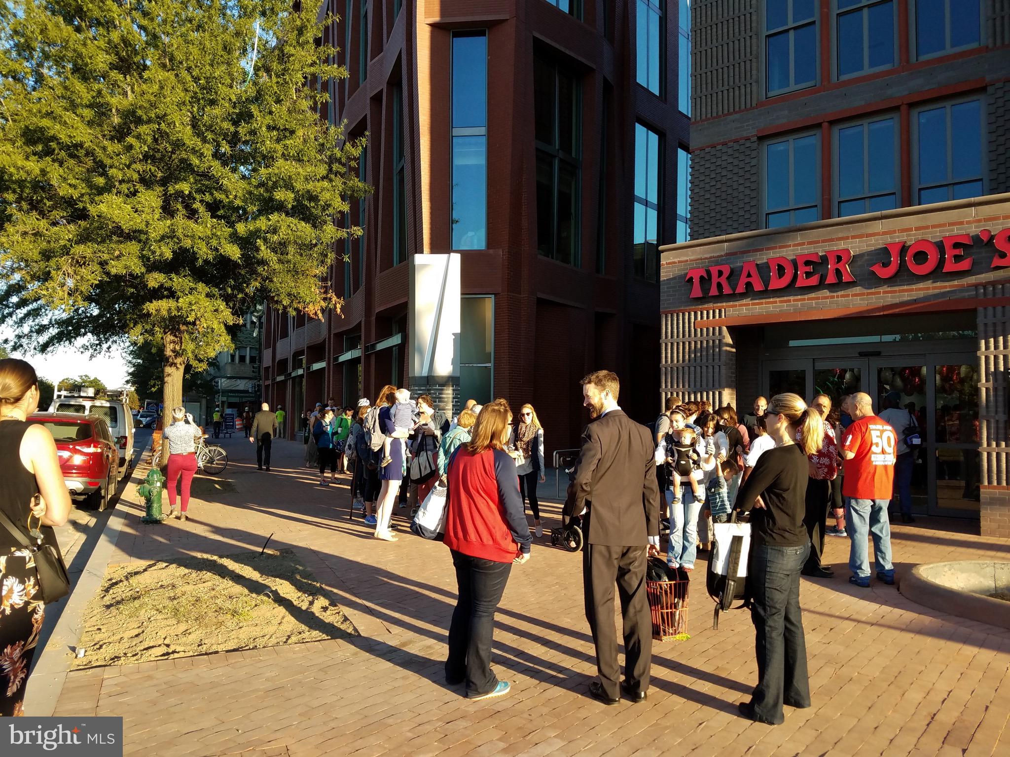 503 10th Street Southeast Washington, DC 20003 - Photo 66 of 67