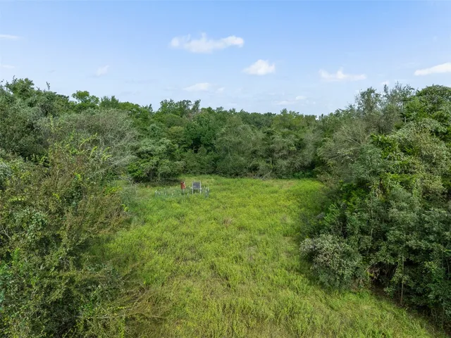 a view of a big yard with a large tree and plants