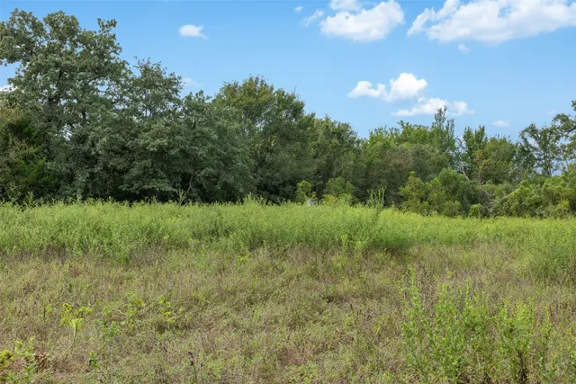 a view of a green field with lots of bushes