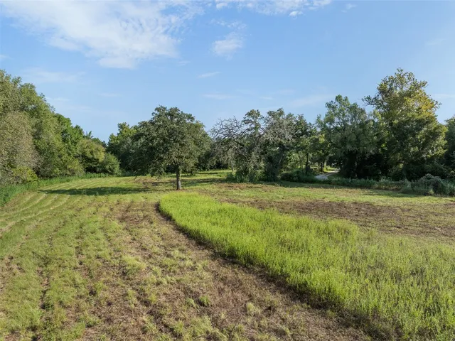 a view of a garden with large trees