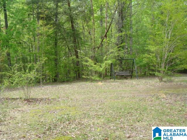 13556 Lock 17 Road Adger, AL 35006 - Photo 27 of 39