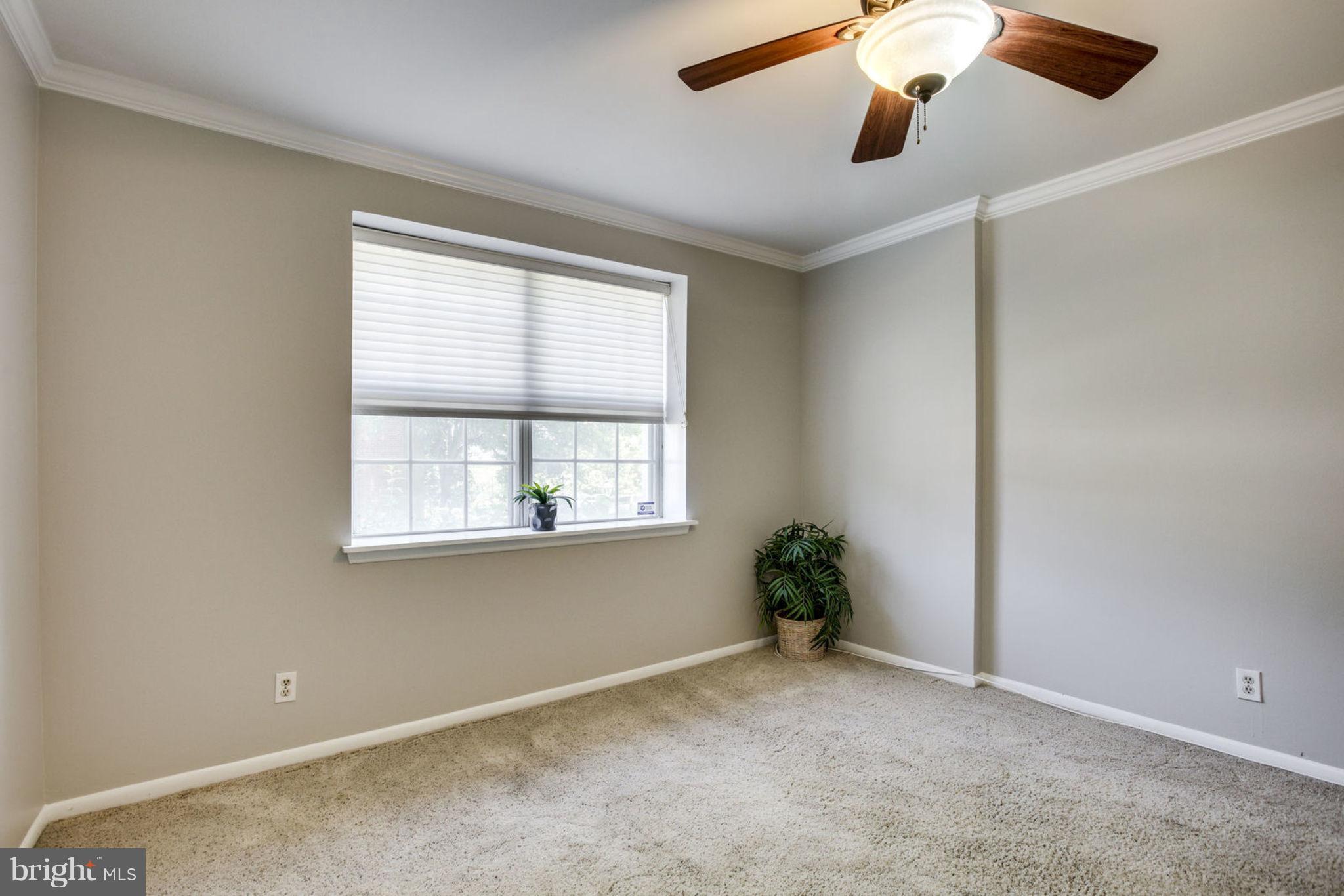 4653 28th Road South, Unit A Arlington, VA 22206 - Photo 12 of 25 Bedroom (Master)