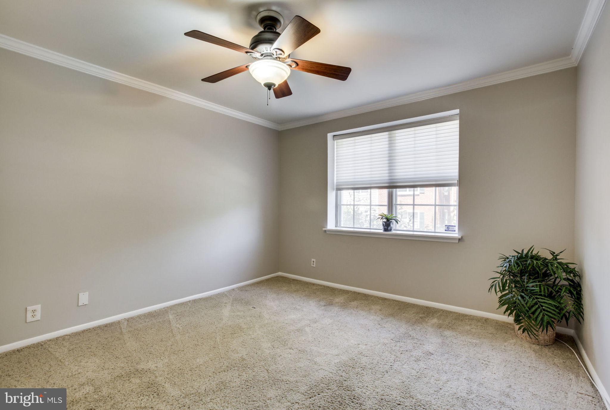 4653 28th Road South, Unit A Arlington, VA 22206 - Photo 15 of 25 Bedroom (Master)