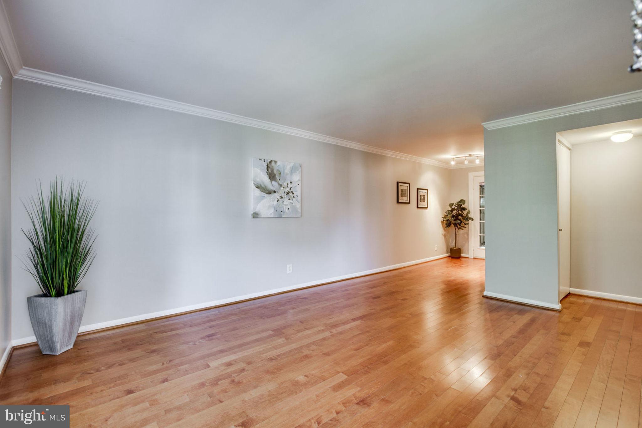 4653 28th Road South, Unit A Arlington, VA 22206 - Photo 4 of 25 Living Room