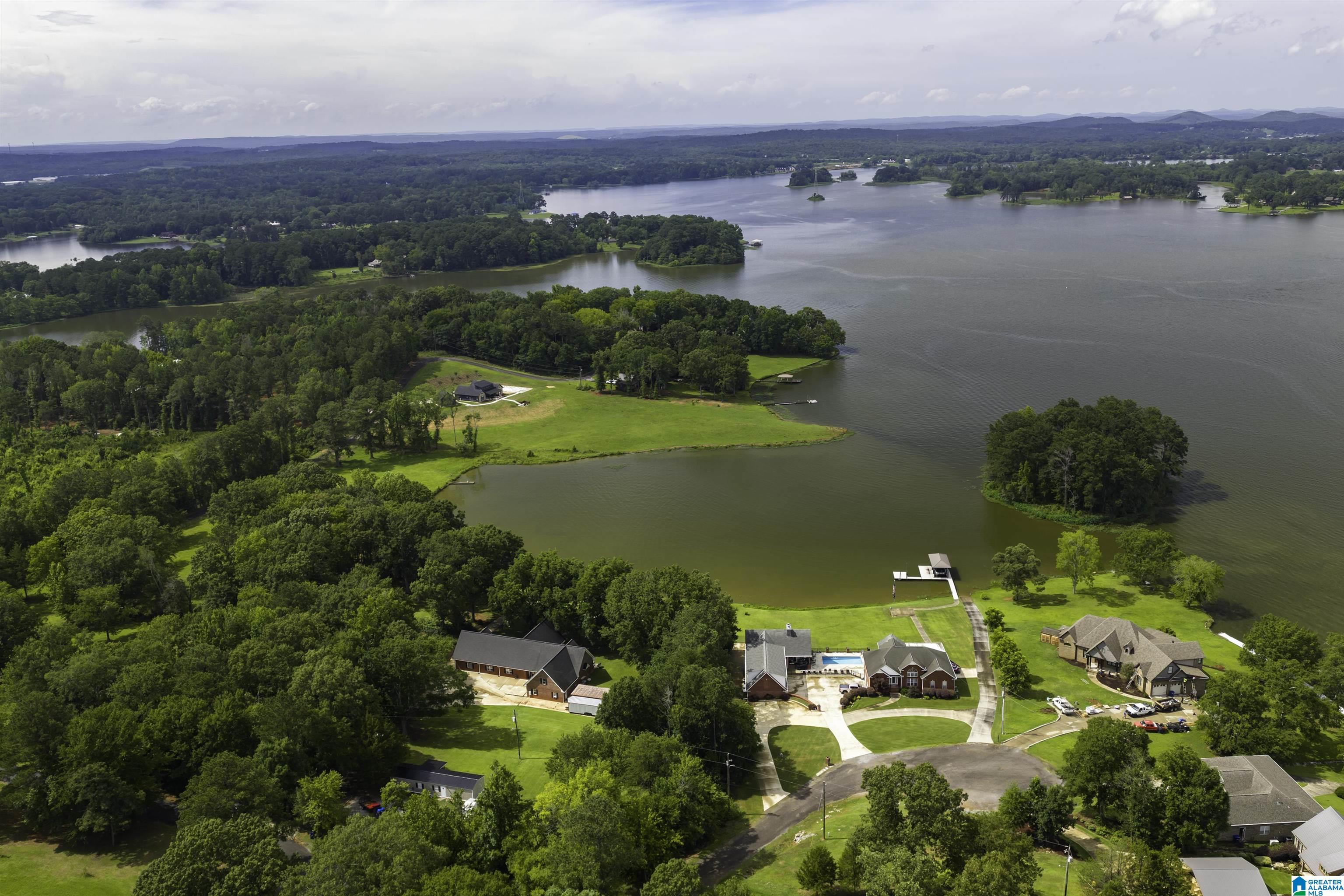 2715 Hamilton Road Pell City, AL 35128 - Photo 3 of 81