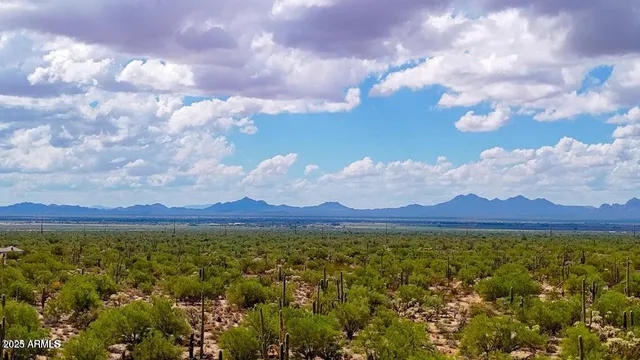 a view of yard with grass and a yard