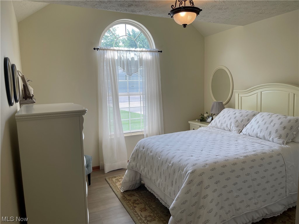 39212 Chestnut Ridge Road Elyria, OH 44035 - Photo 13 of 27 PrimaryBedroom with light hardwood flooring, lofted ceiling, full bath and walk in closet!
