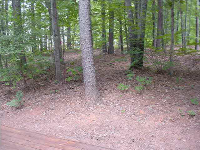 10 Stonewall Road Palmyra, VA 22963 - Photo 4 of 6 a view of a forest filled with trees