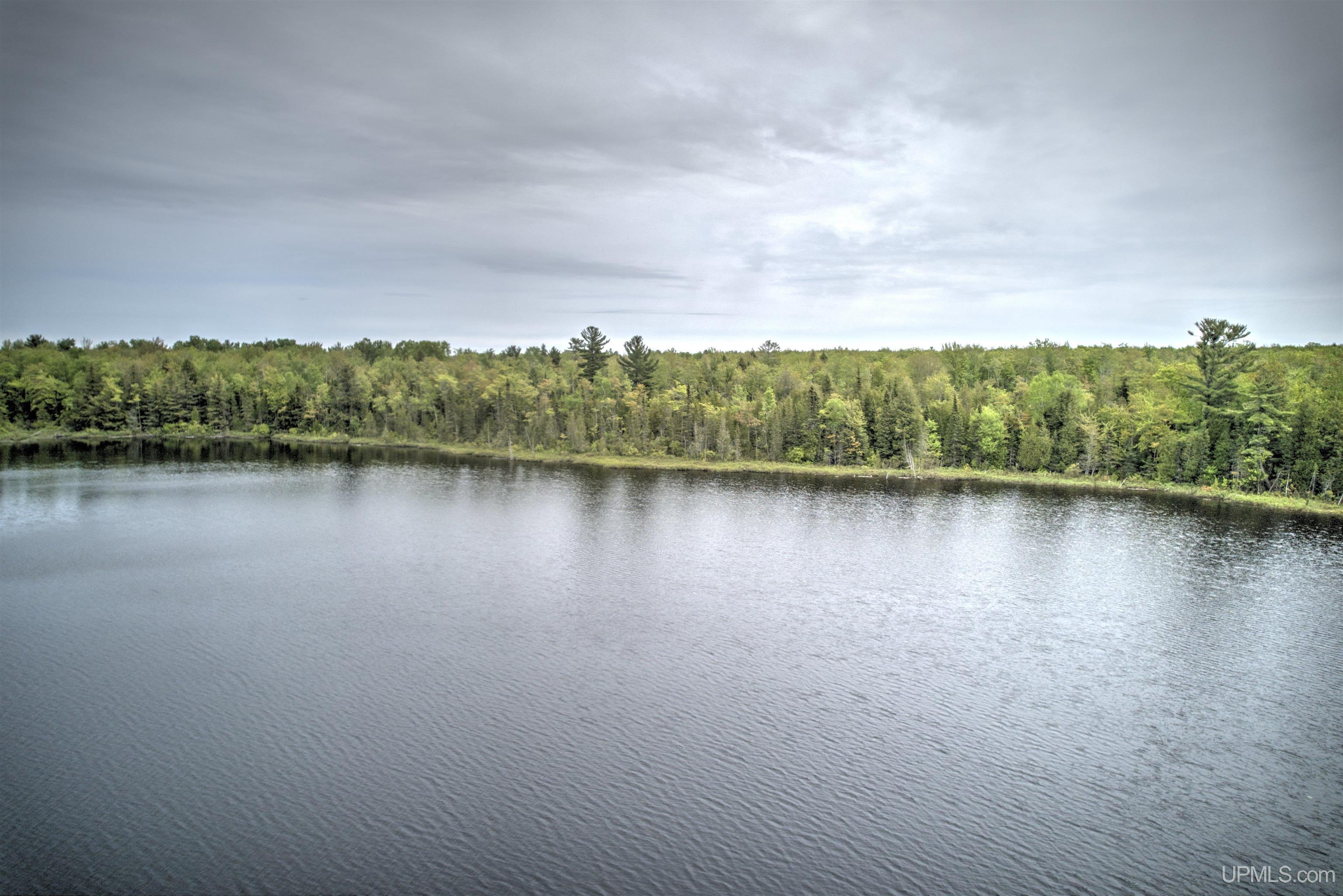 Tbd Tbd Segan Road Deerton, MI 49822 - Photo 7 of 21