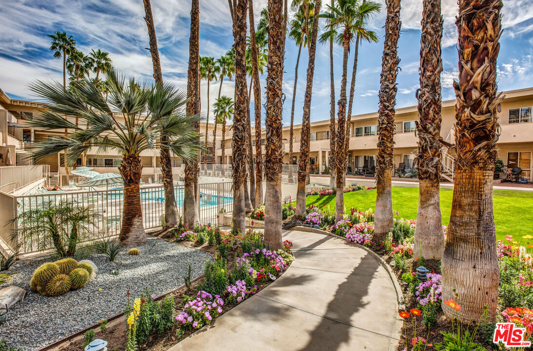 277 East Alejo Road, Unit 119 Palm Springs, CA 92262 - Photo 30 of 46 a view of a park with potted plants