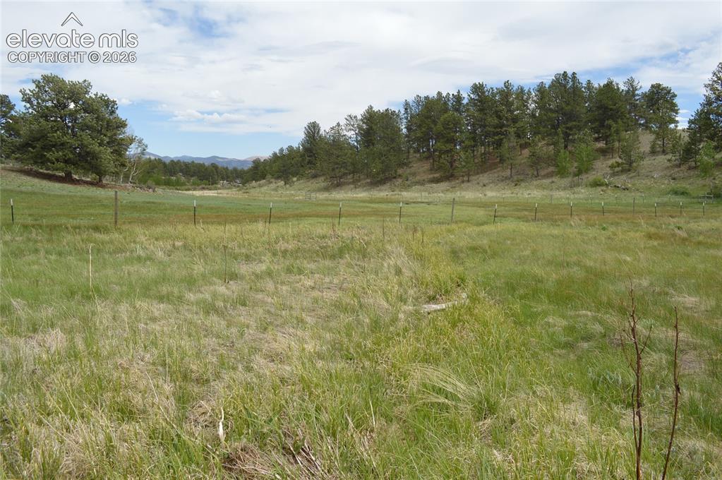 344 Valley Road Guffey, CO 80820 - Photo 7 of 15 a view of a field with trees in the background