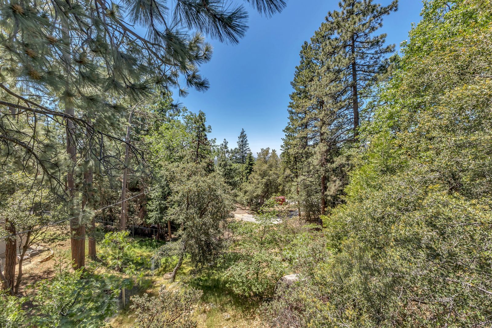 25595 Glen Road Idyllwild, CA 92549 - Photo 32 of 51 a view of a yard with a tree