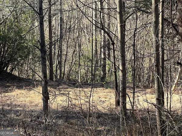 $15,000 | Lot 59 Mountain Harbour Hayesville Nc 28904, Hayesville, NC 28904