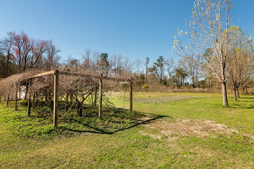 1805 Fish Road Ridgeville, SC 29472 - Photo 21 of 25 1805 Fish Rd. Pic 12