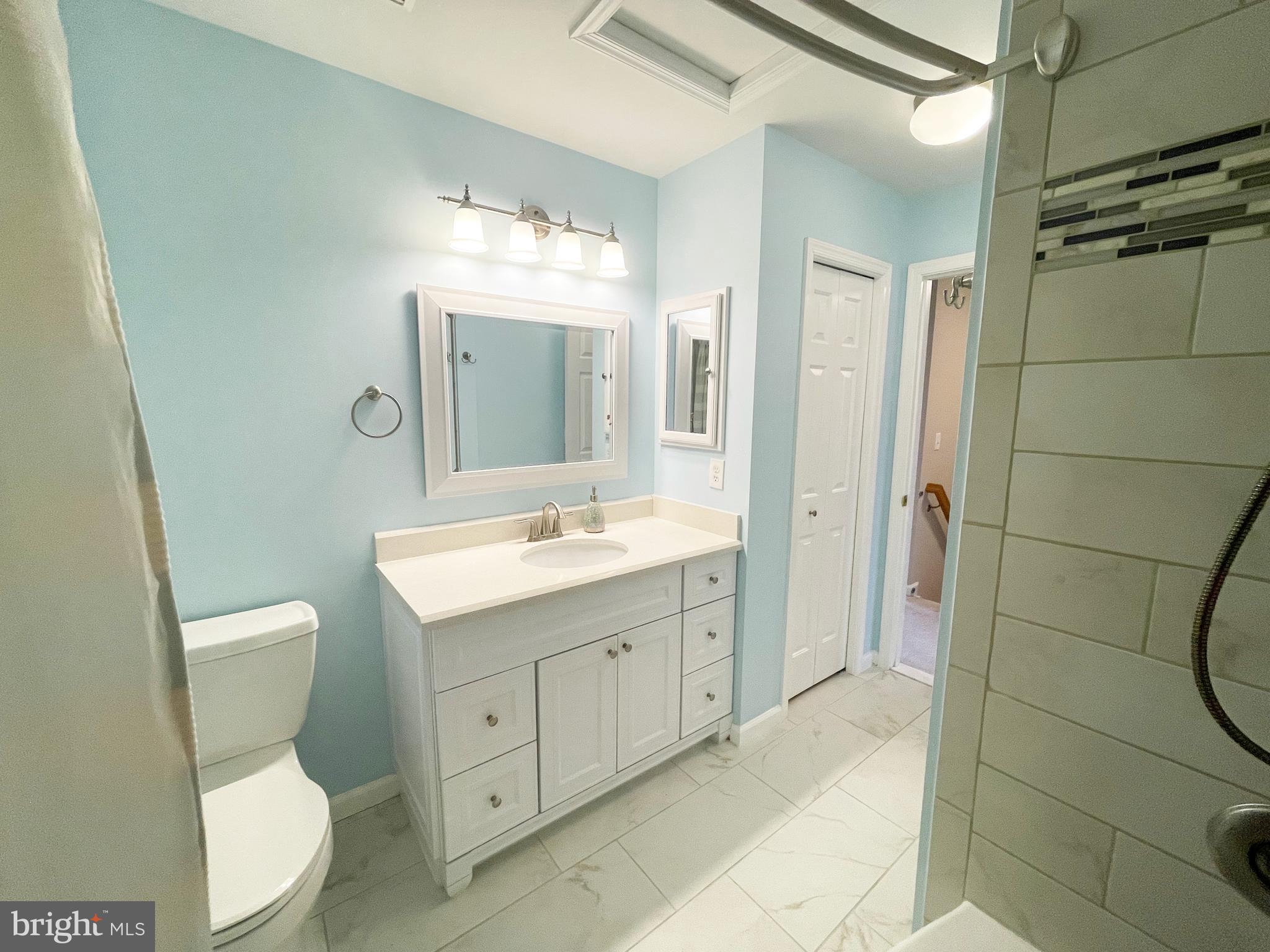 21795 Willesden Jct Terrace Sterling, VA 20166 - Photo 43 of 53 bathroom