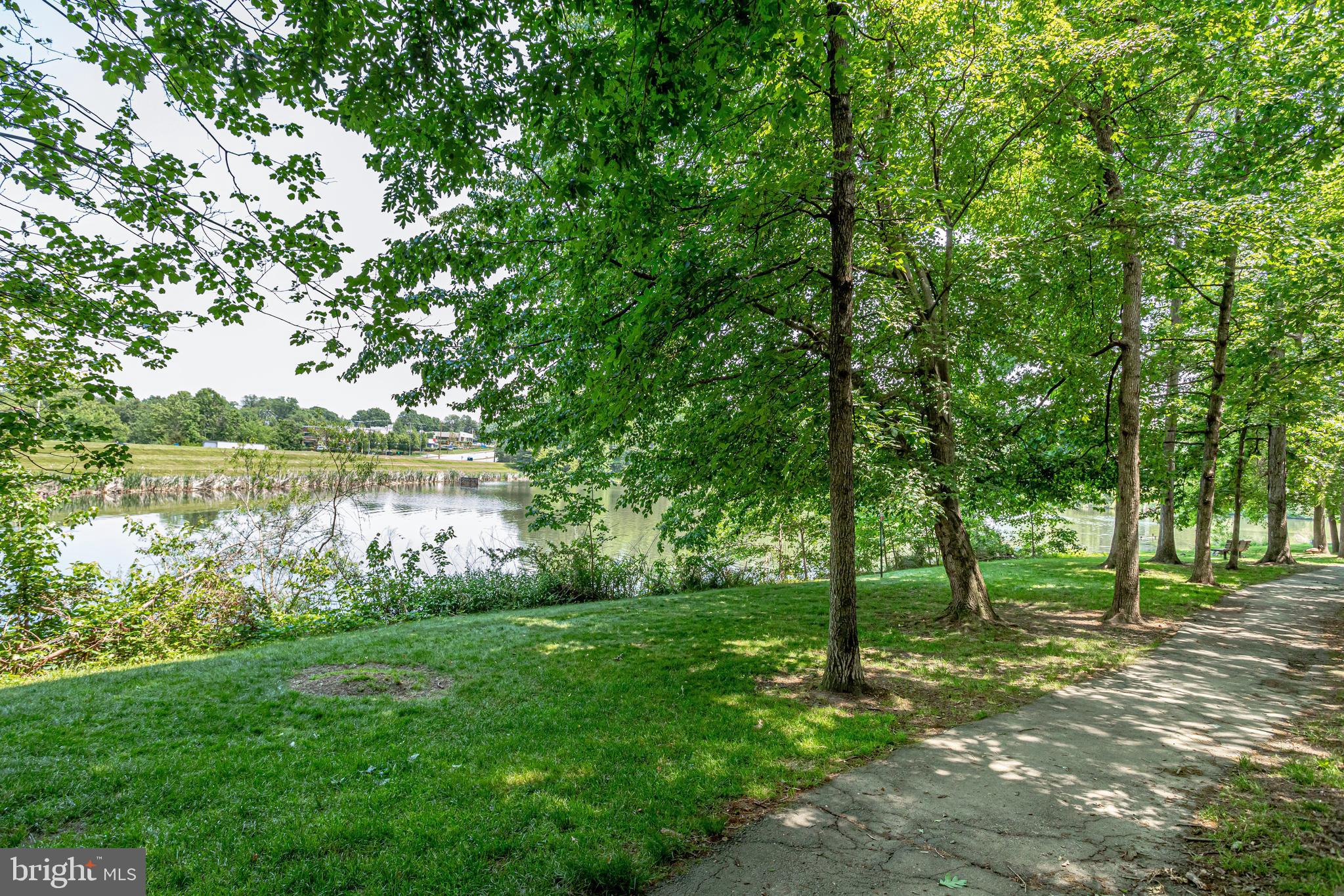12033 Edgemere Circle Reston, VA 20190 - Photo 50 of 53 a view of a garden with a tree