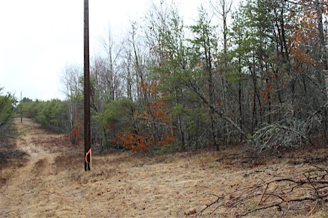 Sigsbee Road Grayling, MI 49738 - Photo 1 of 3 Gallery Image 1