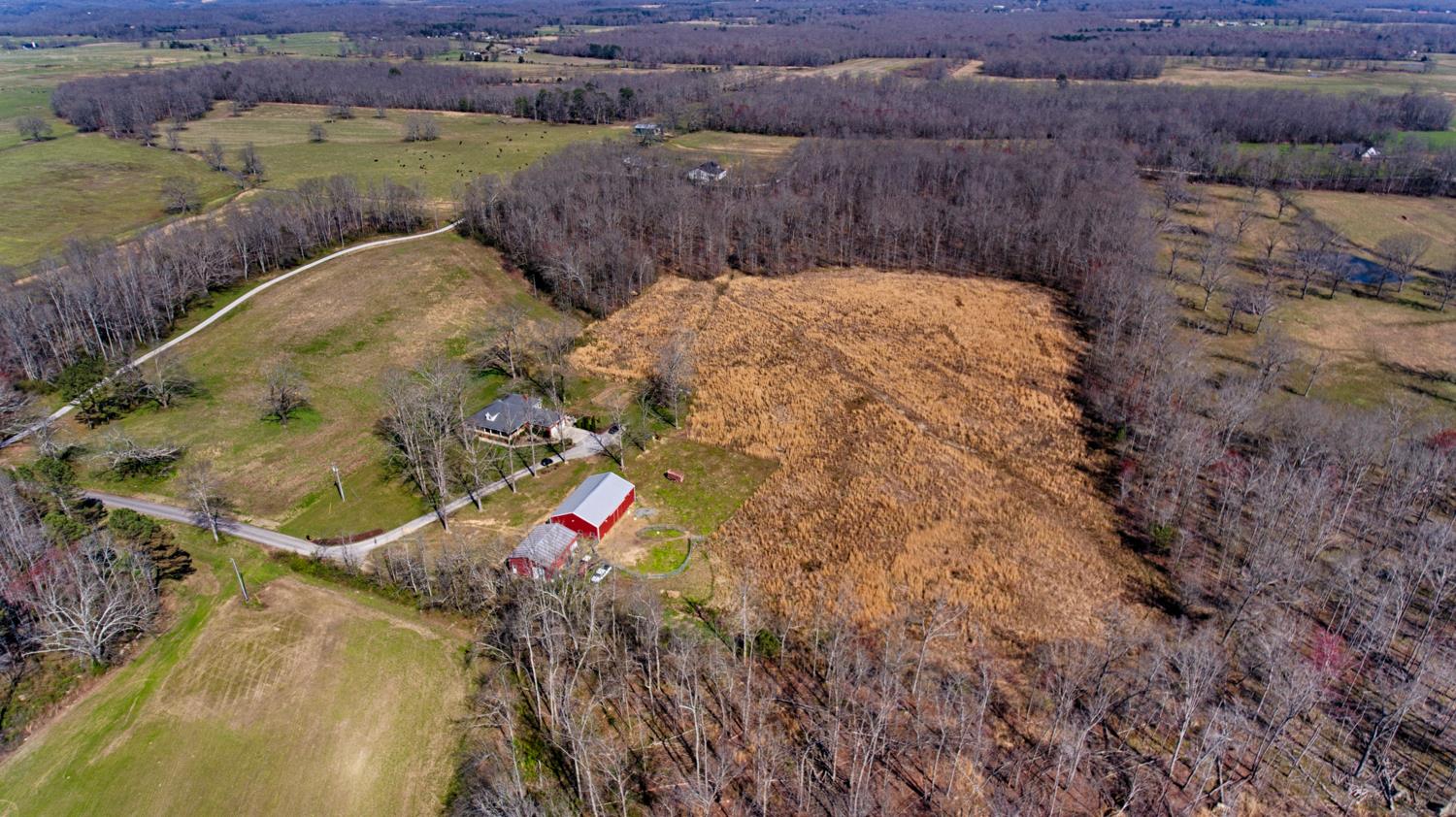 106 Power Station Road Taft, TN 38488 - Photo 14 of 30